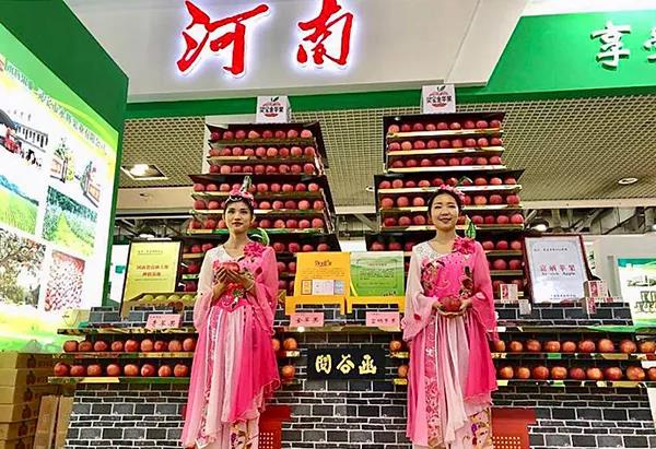 普朗展臺設計首次在中部地區(qū)舉辦<div   id=